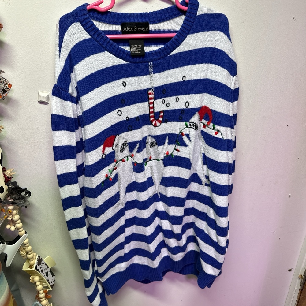 Alex Stevens Blue and White Striped Sweater